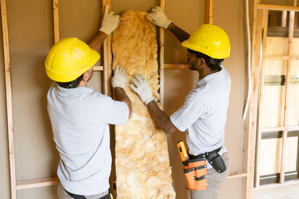 Insulation Inspection Services in St Johns, MI