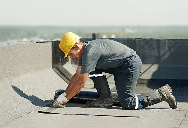 Best Insulation Inspection Services  in St Johns, MI
