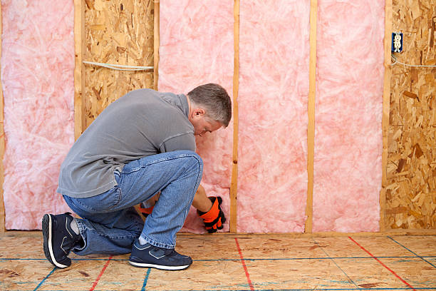 Professional Insulation Contractor in St Johns, MI